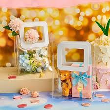 Small Transparent Bag