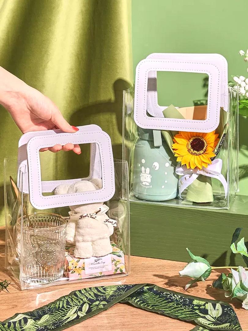 Small Transparent Bag
