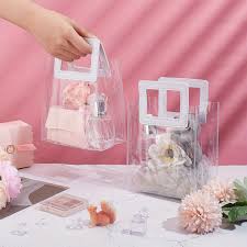 Small Transparent Bag