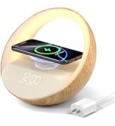 Wireless Charger / Digital Clock Bedside Lamp/Bluetooth Speaker/FM