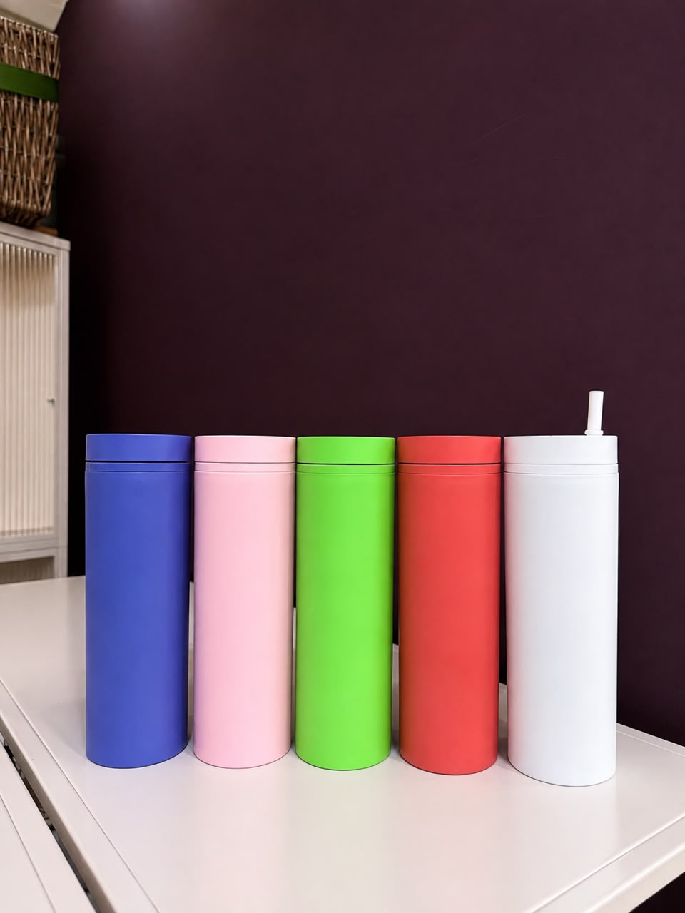 480Ml Pastel Acrylic Tumbler With Lid & Straw